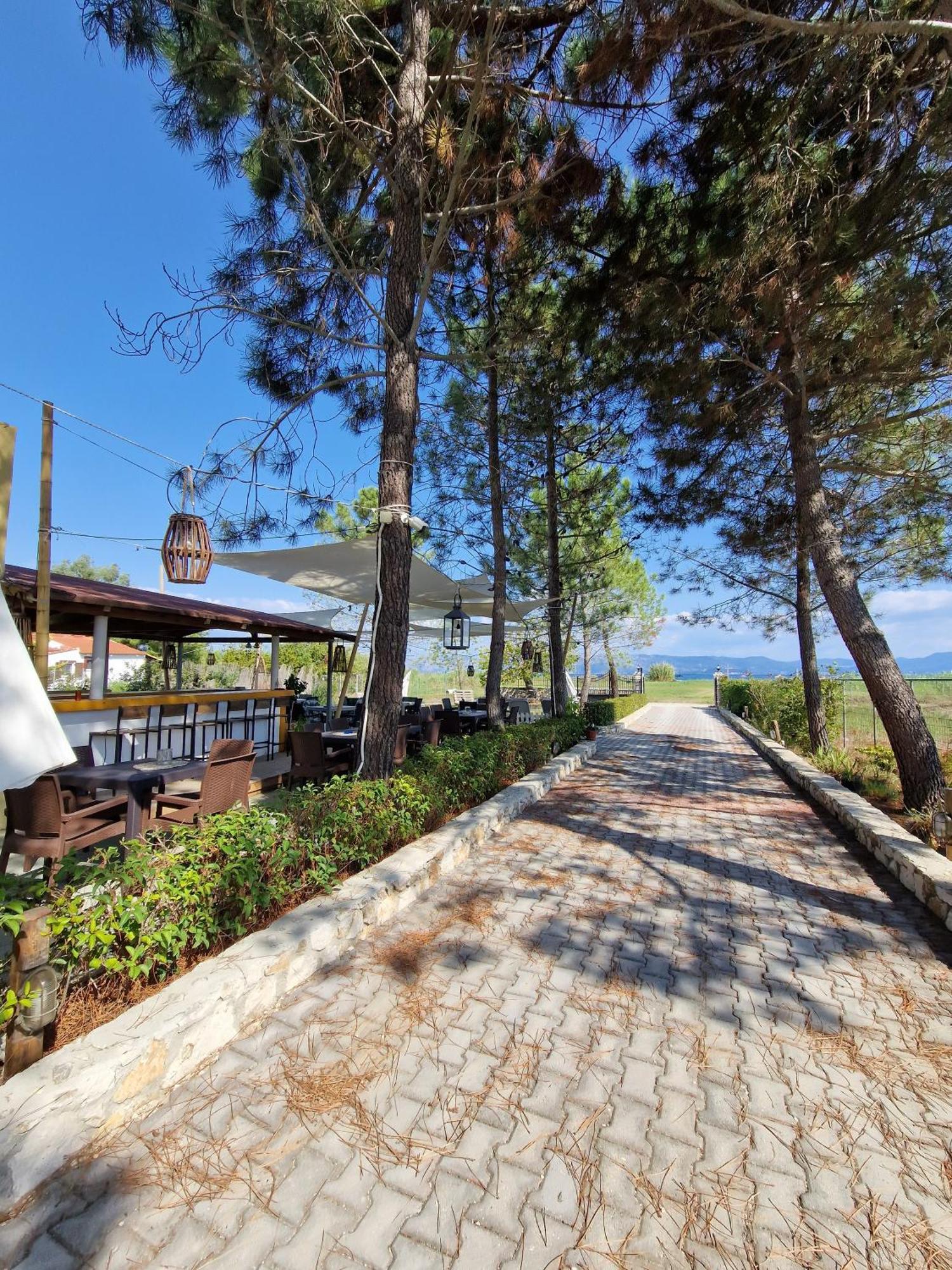 Alexandra 9 Apartment Lefkimmi (Corfu)